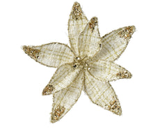Luxe - Honey Kissmas Poinsettia 18cm
