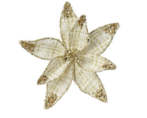 Luxe - Honey Kissmas Poinsettia 18cm
