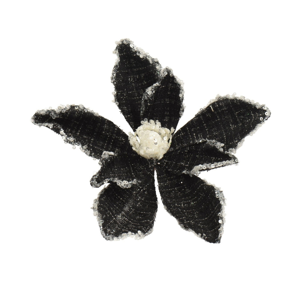 Marion Black Detail Poinsettia - 20cm