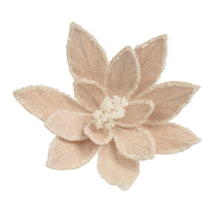 Anastasia Pink and Cream Detail Poinsettia - 30cm