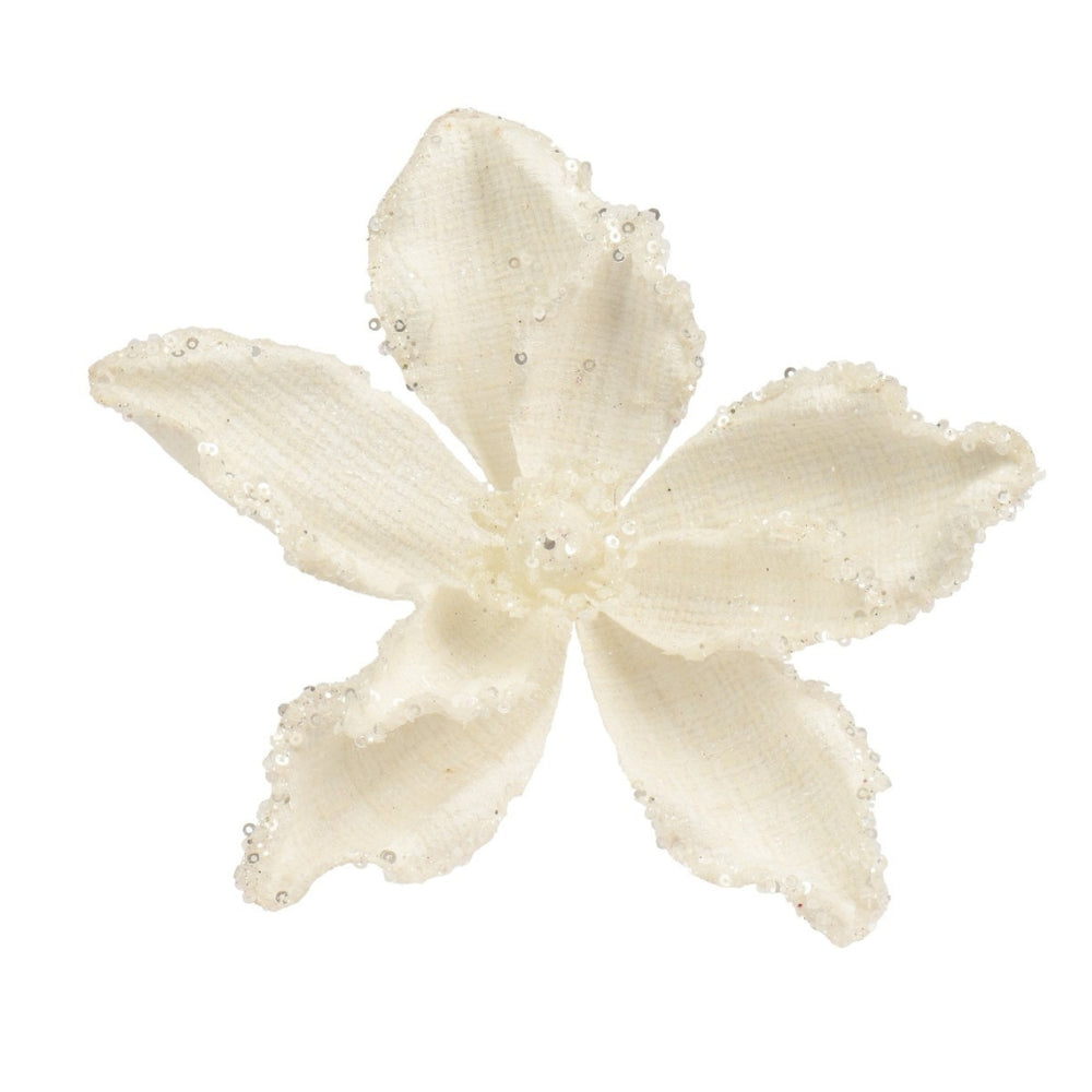 Jeanette Cream Detail Poinsettia - 20cm