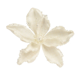 Jeanette Cream Detail Poinsettia - 20cm