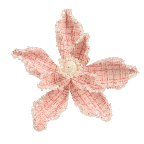 Anastasia Pink Detail Poinsettia - 20cm